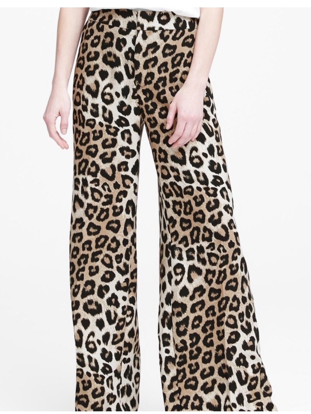 NWOT Banana Republic Leopard Animal Print Wide Leg Trouser Pants Sz 4